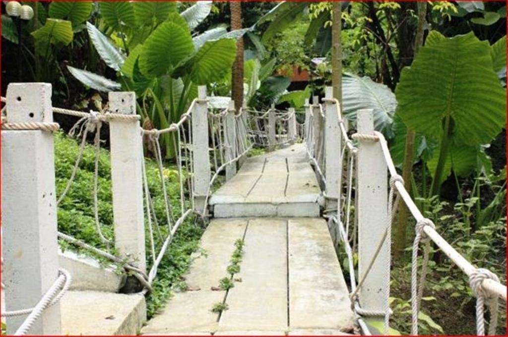 Rai Preda Homestay Ao Luk Dış mekan fotoğraf